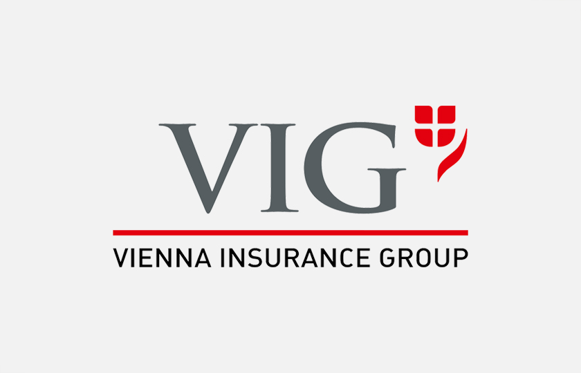 Das Logo der VIG.