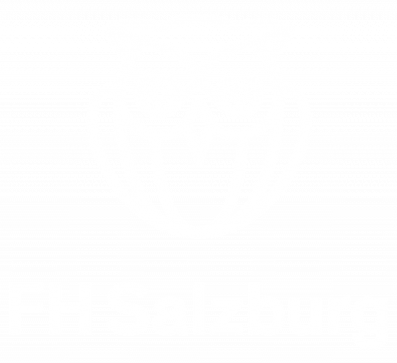 Hier sieht man das Logo der FH Salzburg.