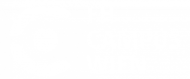 Das FH-Campus Wien Logo